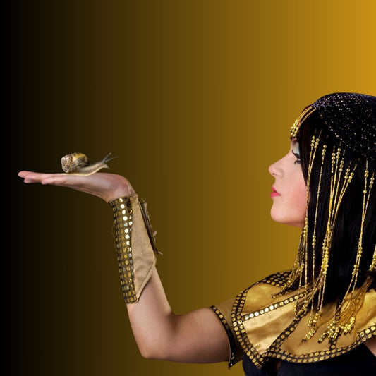 ALLA SCOPERTA DELL’USO DELLA BAVA DI LUMACA DA PARTE DI CLEOPATRA: una ricerca affascinante nel passato.